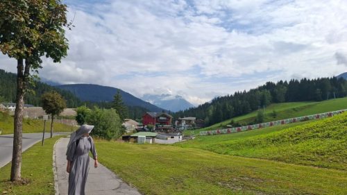 Foto 1 de 44