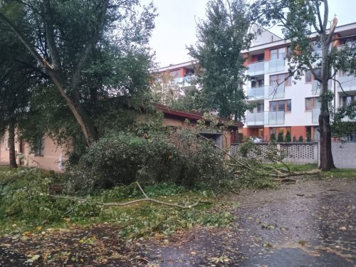 Foto 6 de 28