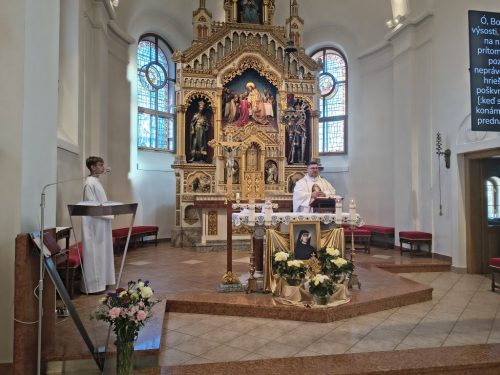 Foto 5 de 12